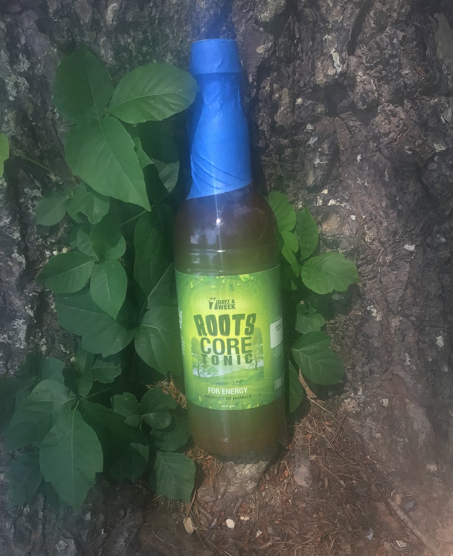 Roots Core Tonic for Energy