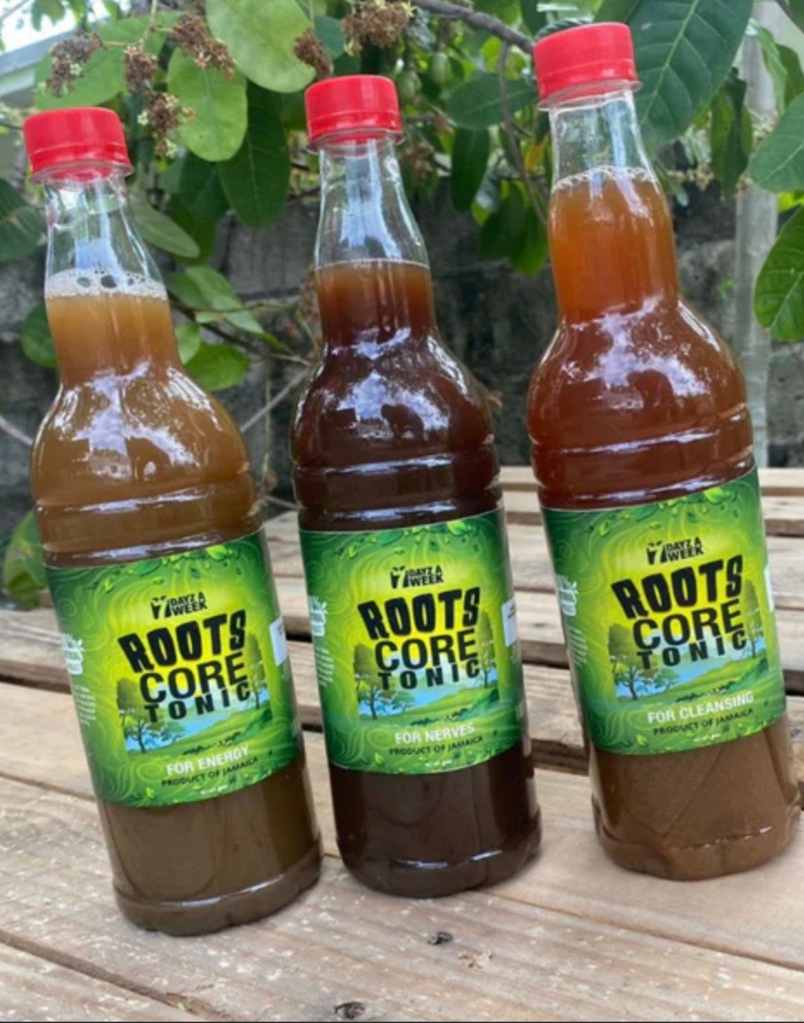 Roots Core Tonic Bundle