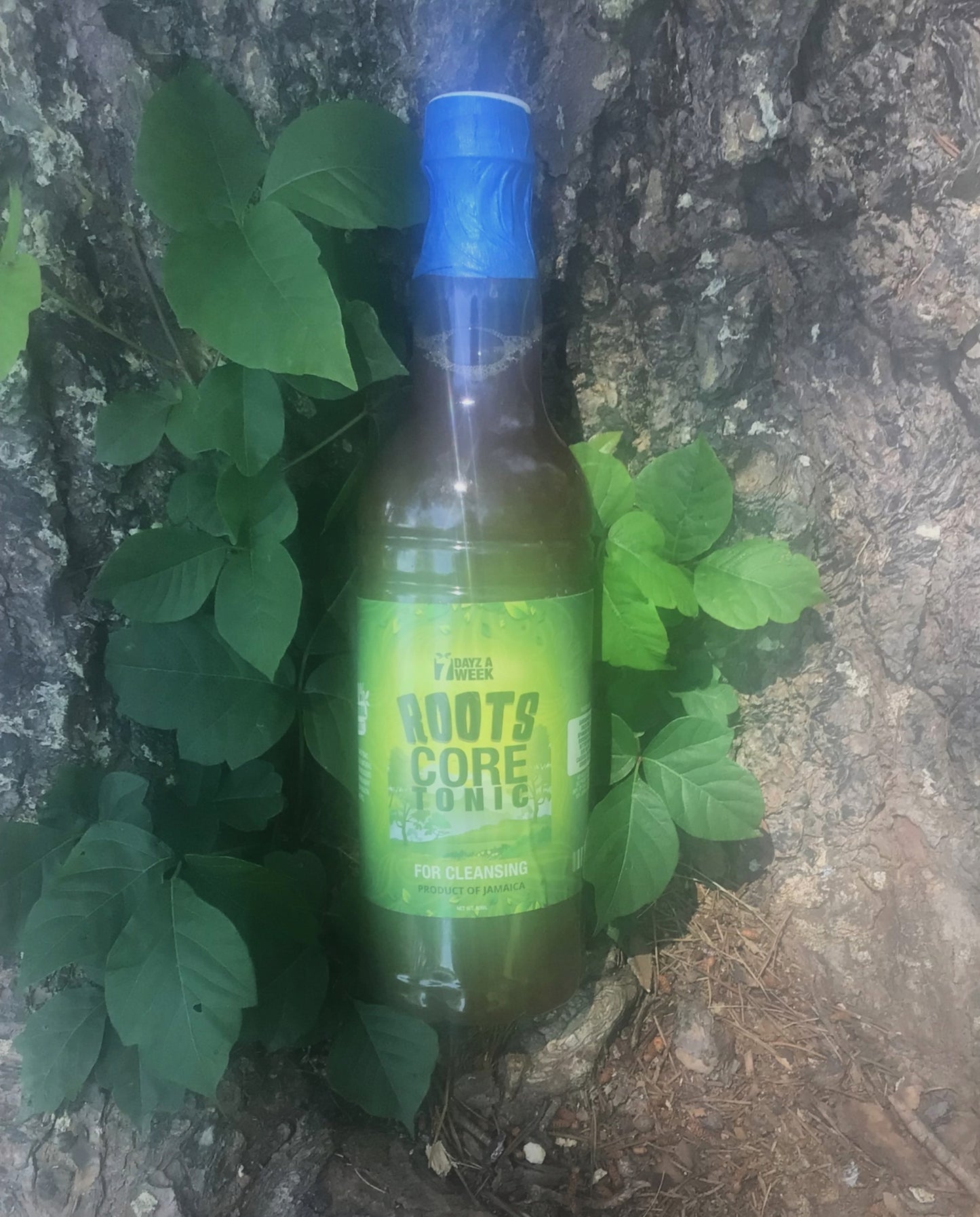 Roots Core Tonic Cleanser